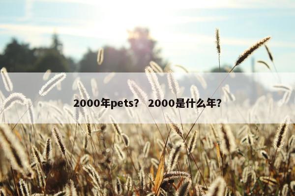 2000年pets？ 2000是什么年？