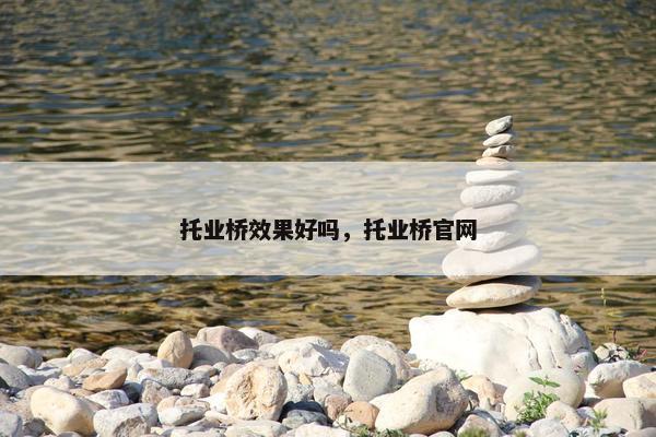 托业桥效果好吗，托业桥官网