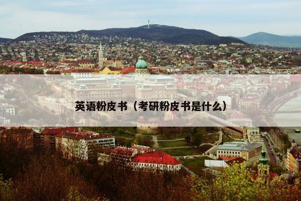 英语粉皮书（考研粉皮书是什么）