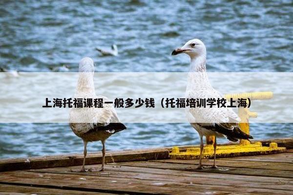 上海托福课程一般多少钱（托福培训学校上海）
