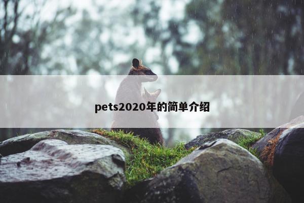 pets2020年的简单介绍