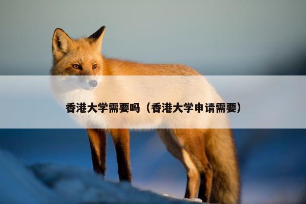 香港大学需要吗（香港大学申请需要）
