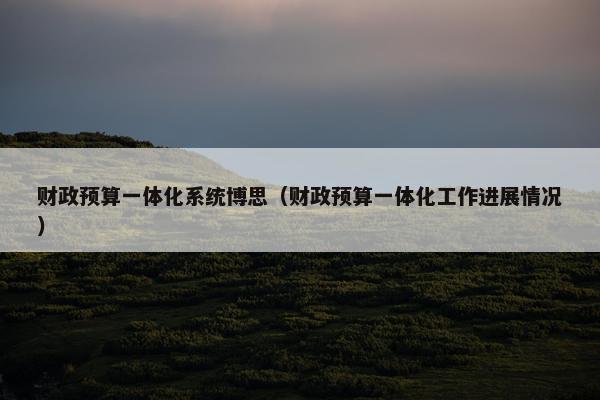 财政预算一体化系统博思（财政预算一体化工作进展情况）