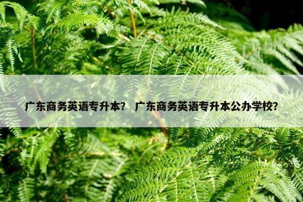 广东商务英语专升本？ 广东商务英语专升本公办学校？