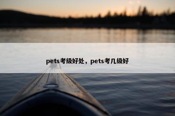 pets考级好处，pets考几级好