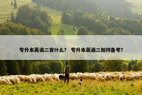 专升本英语二背什么？ 专升本英语二如何备考？