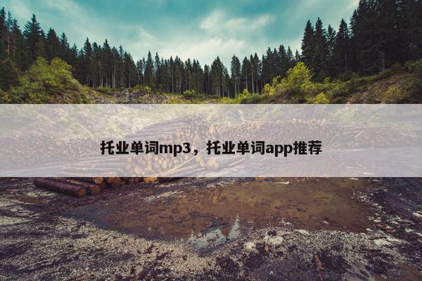 托业单词mp3，托业单词app推荐