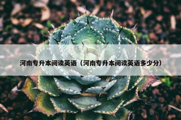 河南专升本阅读英语（河南专升本阅读英语多少分）