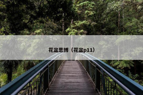 花盆思博（花盆p11）