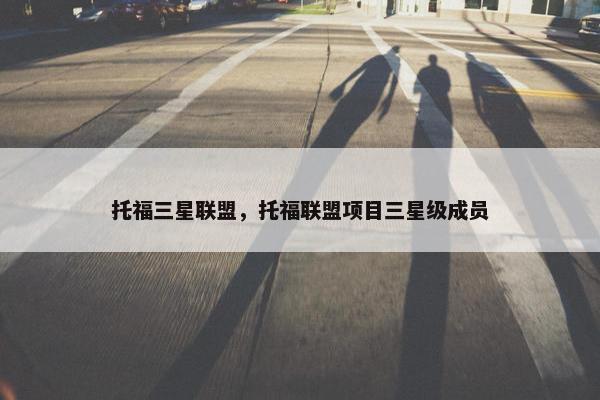 托福三星联盟，托福联盟项目三星级成员