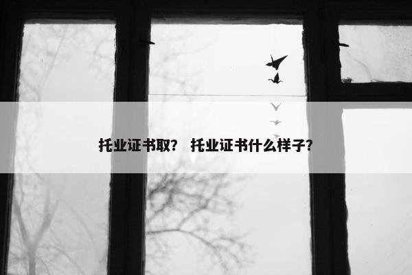 托业证书取？ 托业证书什么样子？