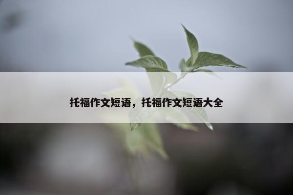 托福作文短语，托福作文短语大全