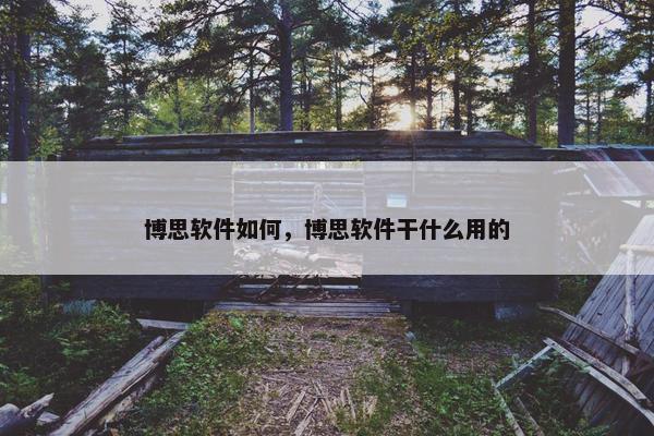 博思软件如何，博思软件干什么用的