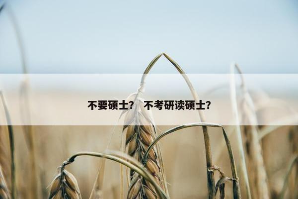 不要硕士？ 不考研读硕士？
