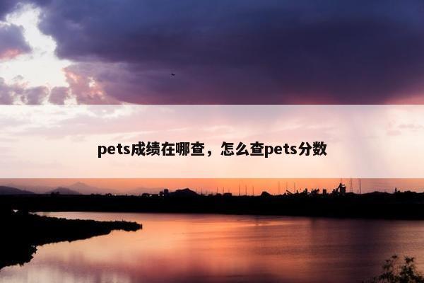 pets成绩在哪查，怎么查pets分数