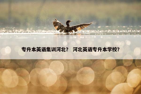 专升本英语集训河北？ 河北英语专升本学校？