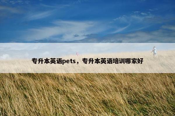 专升本英语pets，专升本英语培训哪家好