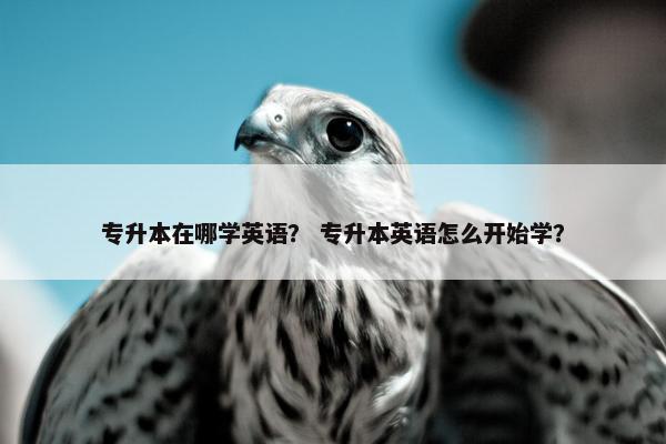 专升本在哪学英语？ 专升本英语怎么开始学？