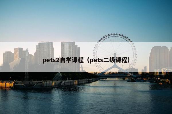 pets2自学课程（pets二级课程）