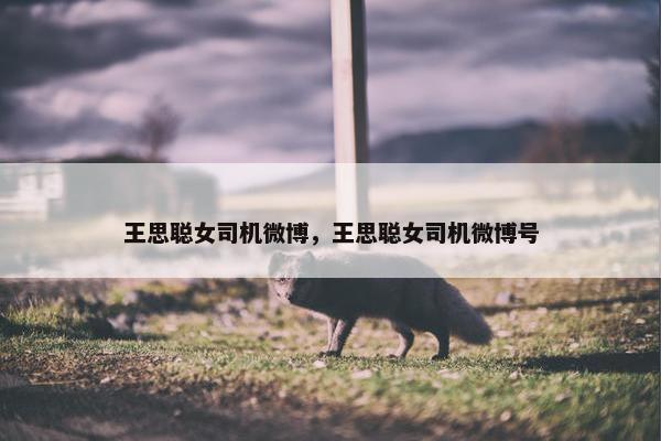 王思聪女司机微博，王思聪女司机微博号