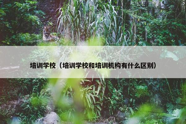 培训学校（培训学校和培训机构有什么区别）