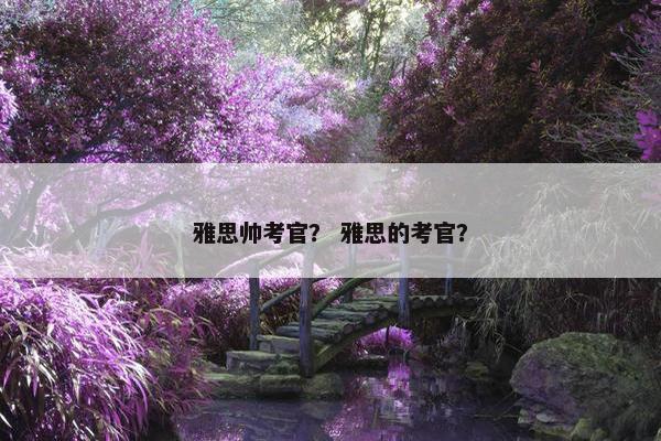 雅思帅考官？ 雅思的考官？
