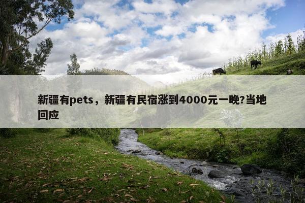 新疆有pets，新疆有民宿涨到4000元一晚?当地回应