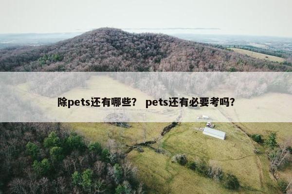 除pets还有哪些？ pets还有必要考吗？