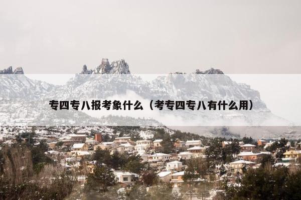 专四专八报考象什么（考专四专八有什么用）