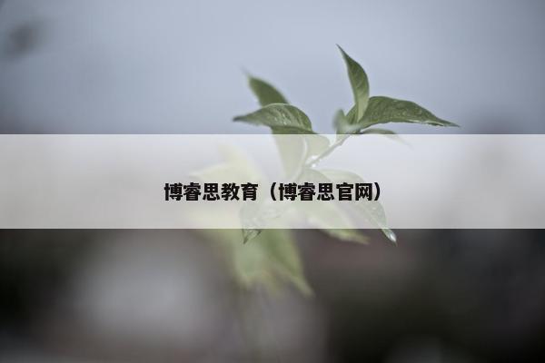 博睿思教育（博睿思官网）
