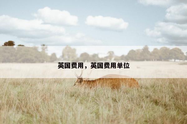 英国费用，英国费用单位