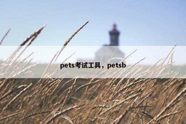 pets考试工具，petsb