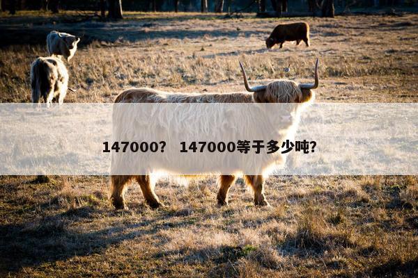 147000？ 147000等于多少吨？