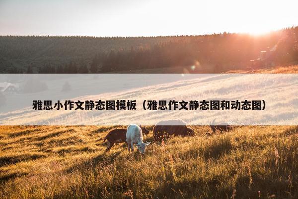 雅思小作文静态图模板（雅思作文静态图和动态图）