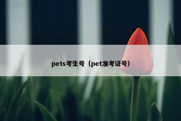pets考生号（pet准考证号）