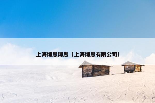上海博思博思（上海博思有限公司）
