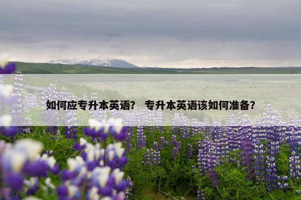 如何应专升本英语？ 专升本英语该如何准备？