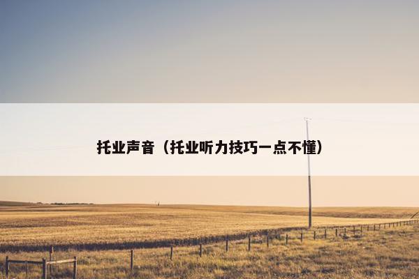 托业声音（托业听力技巧一点不懂）