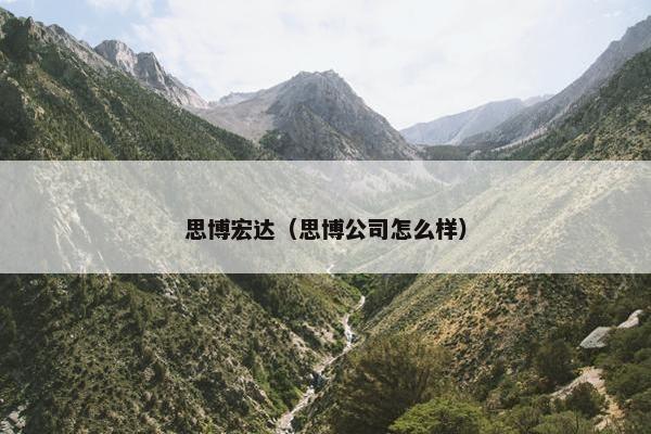 思博宏达（思博公司怎么样）