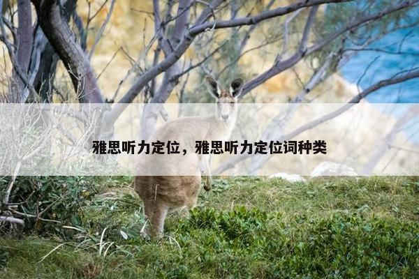 雅思听力定位，雅思听力定位词种类