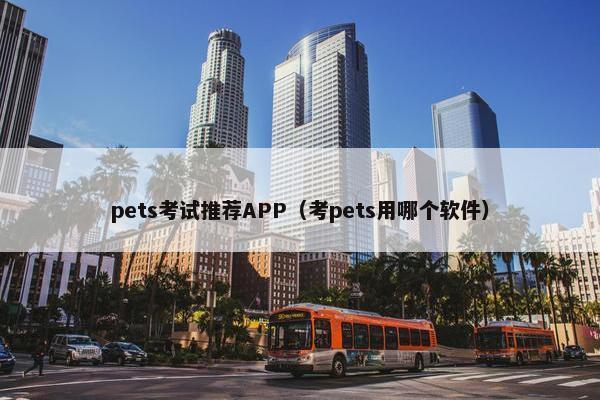 pets考试推荐APP（考pets用哪个软件）