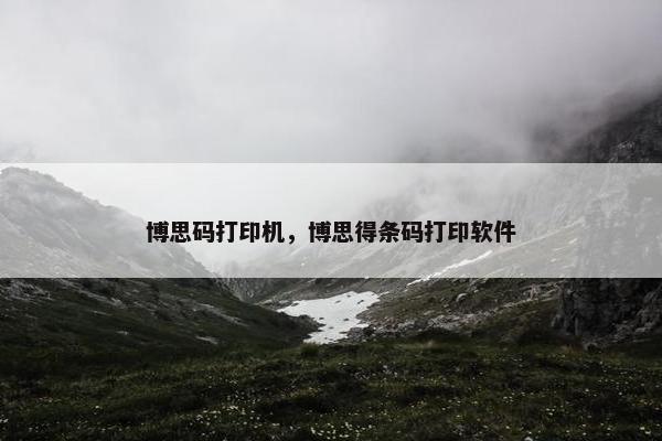 博思码打印机，博思得条码打印软件