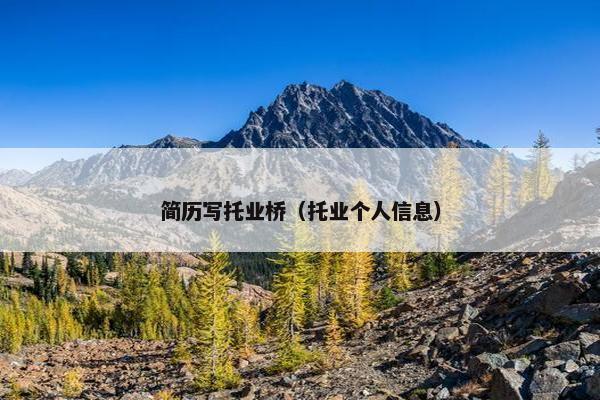 简历写托业桥（托业个人信息）