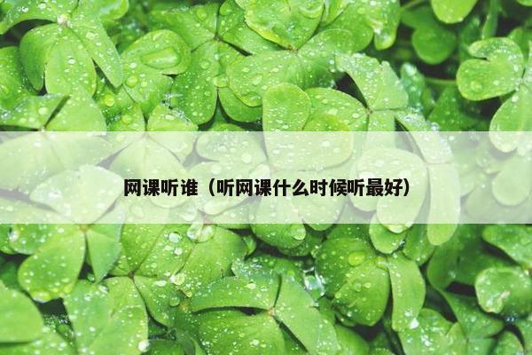 网课听谁(听网课什么时候听最好) 网课听谁(听网课什么时候听最好)