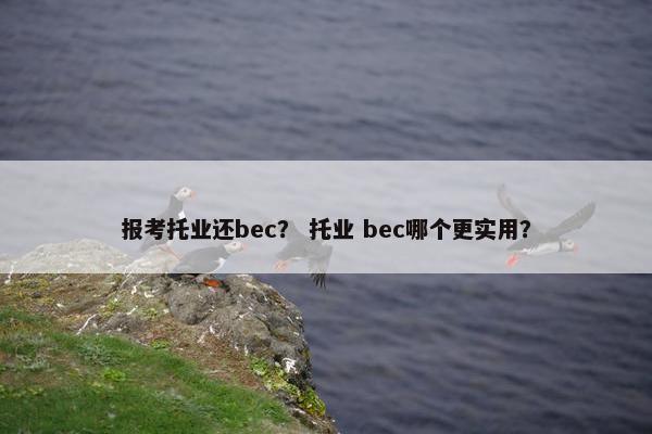 报考托业还bec? 托业 bec哪个更实用? 报考托业还bec? 托业 bec哪个更实用?