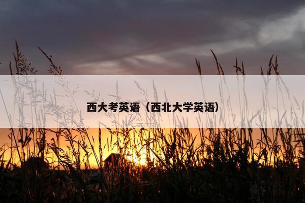 西大考英语(西北大学英语) 西大考英语(西北大学英语)