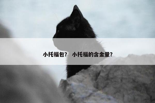 小托福包？ 小托福的含金量？