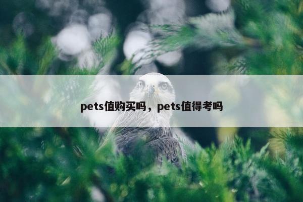 pets值购买吗,pets值得考吗 pets值购买吗,pets值得考吗