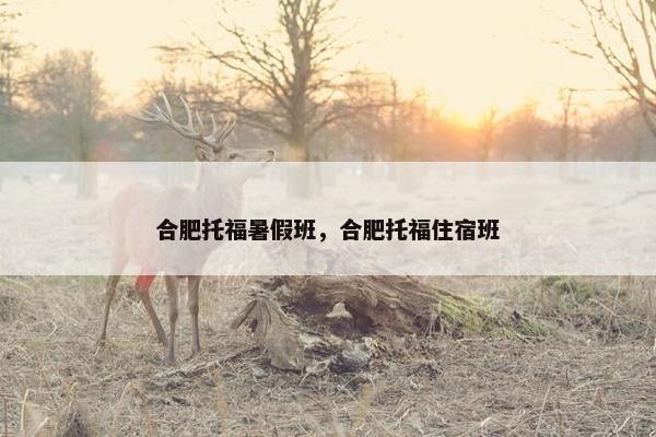 合肥托福暑假班,合肥托福住宿班 合肥托福暑假班,合肥托福住宿班