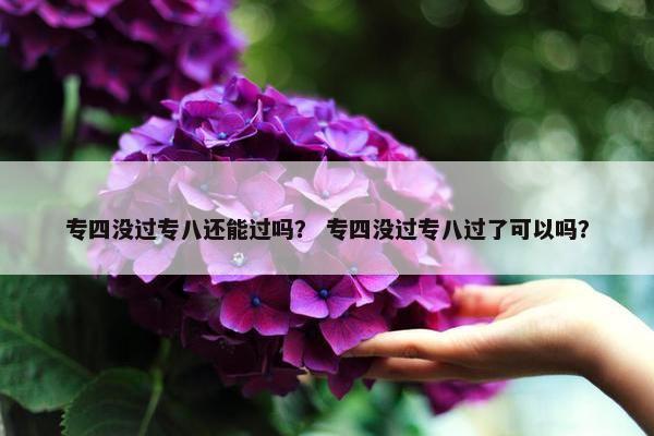 专四没过专八还能过吗? 专四没过专八过了可以吗? 专四没过专八还能过吗? 专四没过专八过了可以吗?